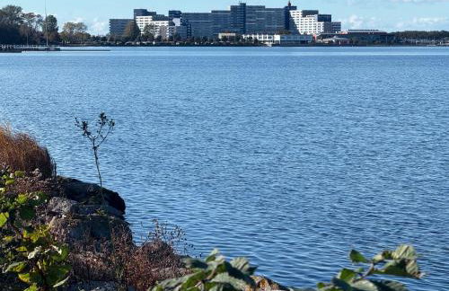 Panoramablick Ostsee, Binnensee & Salzwiesen - Balkon - Stilvoll - Highspeed Glasfaser WLAN - Parkplatz - Ferienwohnung 'Freiheit' - Photo 37