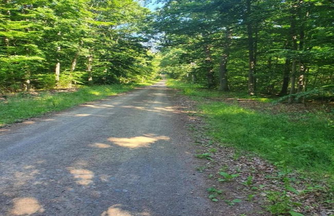 Hill-view Holiday Home in Dankerode Near Lake and Hiking - Foto 63