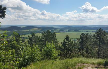 Ferienwohnung Schulze - Photo 33