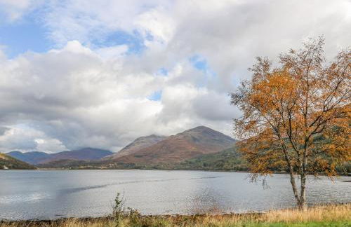 Elleric Pods - The Last Resort - Foto 20