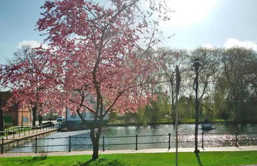 Ferienhaus in Neukalen - Foto 22