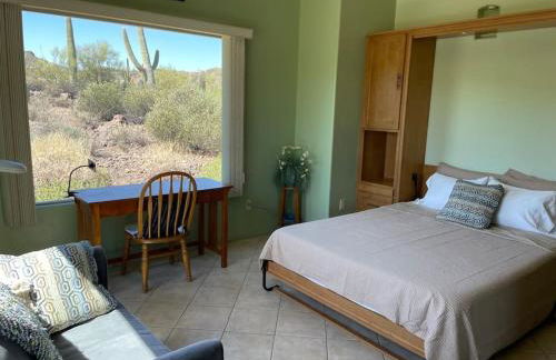 Tucson Mnt Foothills Saguaro Bliss - Foto 22