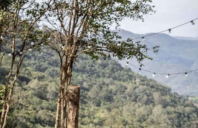 Um lugar chamado Vale Real - RS - Foto 37