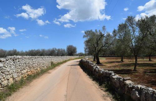 Villa Mios - Foto 44