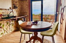 Flora e Fauna House - Photo 28