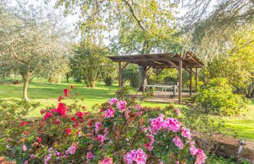 Ai due Cedri - Foto 22