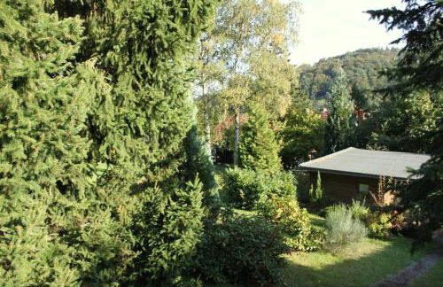 Ferienhaus Harzblick - Foto 25