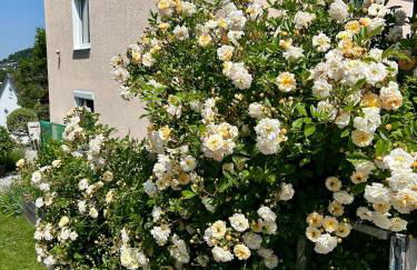 Ferienwohnung Bärbel - Foto 13