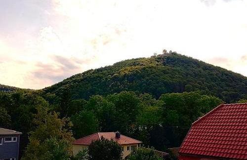 Ferienwohnungen am Wasserfall - Foto 33