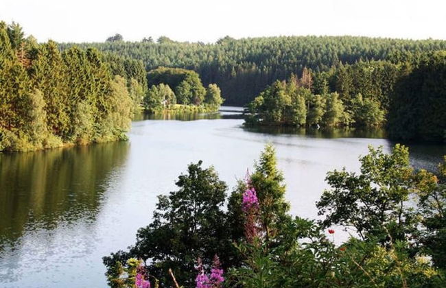 Large Home With Sauna, Ovifat - Photo 28