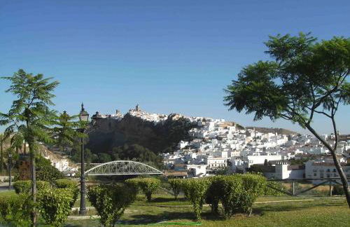 Sunny Home pool & Garden in Arcos de la Frontera - Foto 20