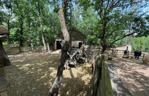 Village vacance Ardèche - Foto 13