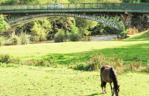 Maes Madog - Foto 78