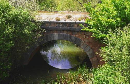 Patio de las Flores - Foto 41