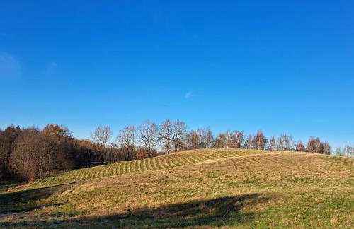 Łabądkowo - Foto 72