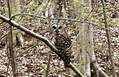 The Farm at Fox Hollow - Foto 6