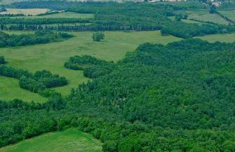Fattoria Agriturismo Nerbona - Foto 78