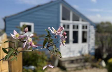 Instow Sandhills 2 bedrooms - Foto 52