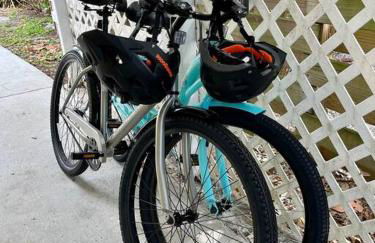 Coastal Oasis Of Lantana - Foto 21