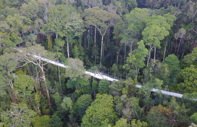 Billet pour The Habitat Penang Hill - Photo 1