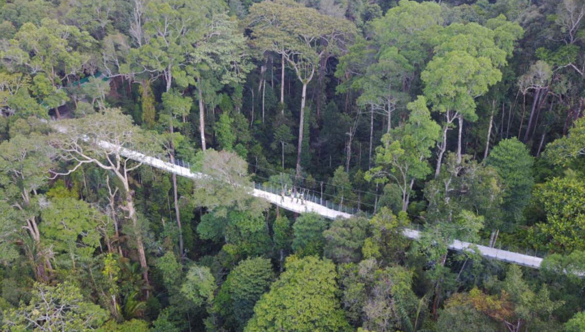 Balade sur la plateforme de The Habitat Penang Hill