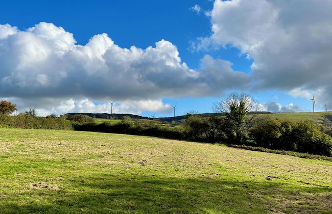 Cambrian Cottages - Foto 61