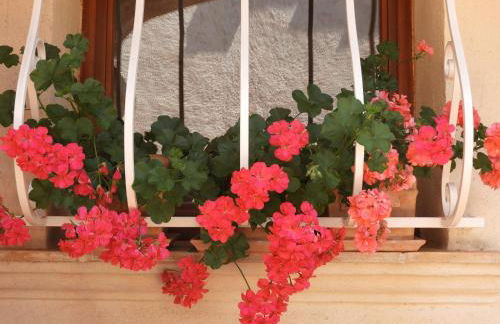 Lou Relambi - Foto 38