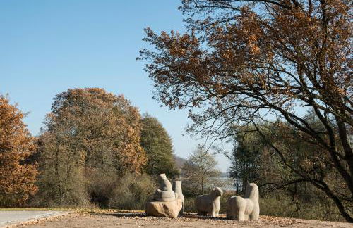 SEEZIEGE Uckermark - Ferienwohnungen am Carwitzer See - Foto 39
