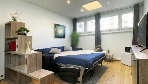 HOMEY TINY - Chambre privée - Située en Hyper-centre - Disney Plus et Wifi inclus - Sans SDB - Proche de Genève et des transports en commun - Foto 4