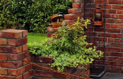 Haus Rungholt - Foto 9