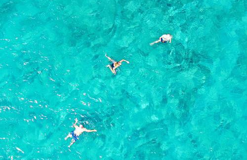 MNS Marvelous Nirvana Seascape, Creativity - Foto 42