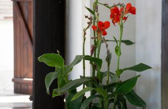 Casa Vista Al Mar - Foto 11