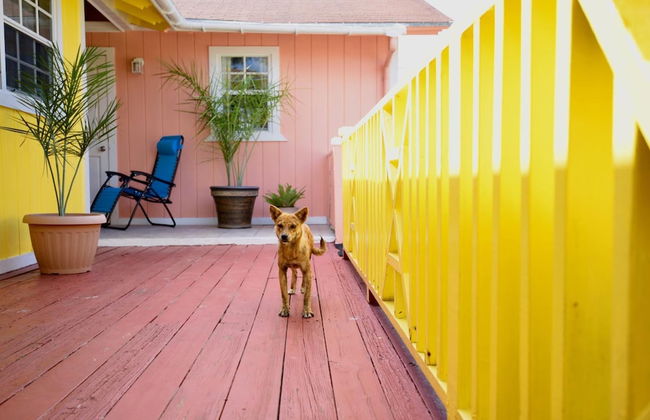 Nathan's Lodge - Photo 20