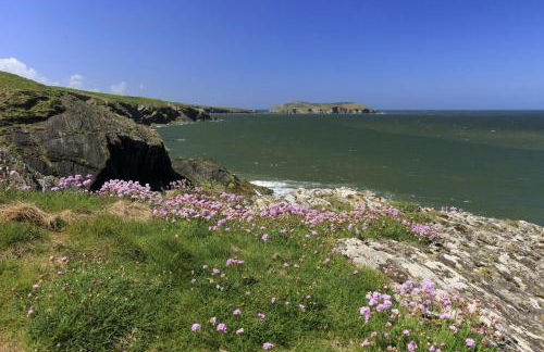 Gelli Genlas Aberaeron - Foto 30