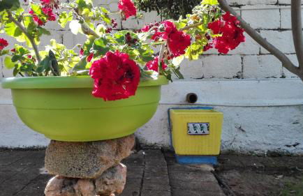 Zagara di Sicilia - Foto 76