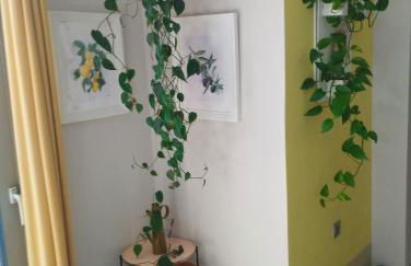 Olive Lemon Biophilic House & Lush Forest Garden - Foto 11