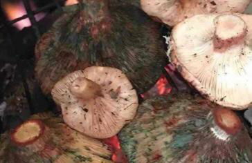 Exclusivo Chalet a Pie de Costa - Foto 64