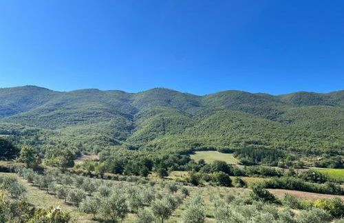 Le Grand Hermas - Foto 1