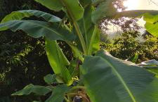 Casa Nova das Oliveiras - Foto 14