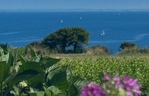 Luxury villa on the sea in Brittany - Foto 8