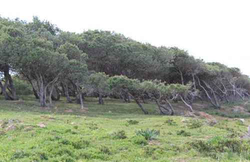 Villa Boa Vista Sul - Terra da Eira - Raposeira - Foto 54