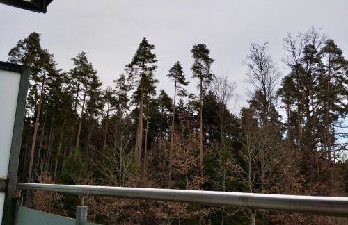 G&P Housing Apartments mit Küche & Balkon & HighSpeed Internet- Comfort - Foto 23