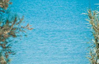 Apartments Ostrea - Caska - Foto 17