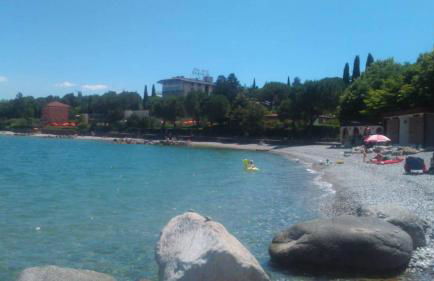 Prato Verde - Girasole - Foto 16