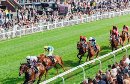 The Highfield Chester. - Foto 46