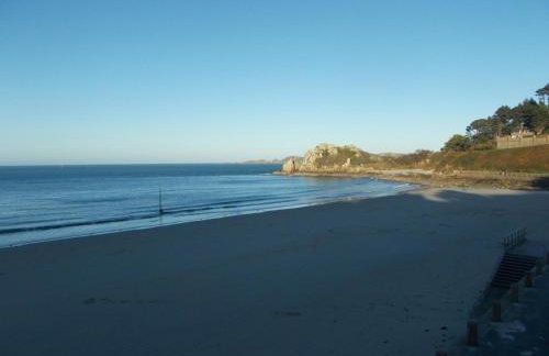 Les hortensias - Foto 34