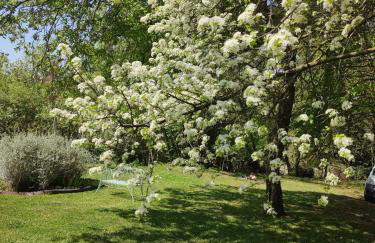 Casa Fellini - Foto 2