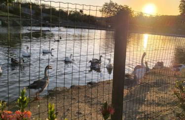 CantinhoAbençoado716 - Flat no Winterville Gravatá - Piscinas Aquecidas, Lago e Parquinhos - Foto 43