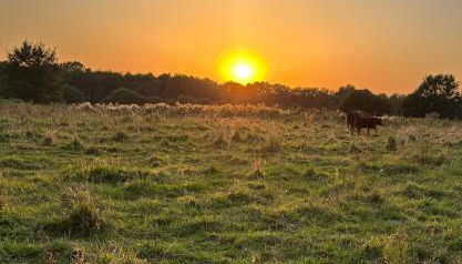 A7 Apartment 1 - Photo 5