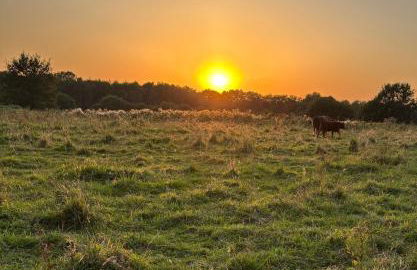 A7 Apartment 1 - Foto 5